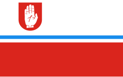 POL Brodnica flag